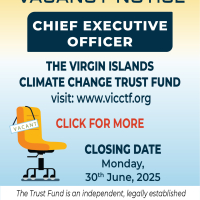 Chief Executive Officer (CEO)  -  The Virgin Islands Climate Change Trust Fund (British Virgin Islands)